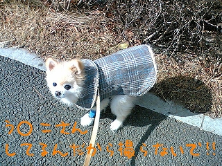 060202-3.jpg