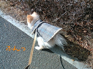 060202-4.jpg