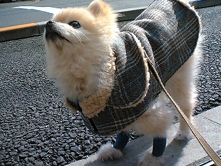 060202-5.jpg