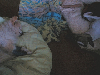 060204-1.jpg