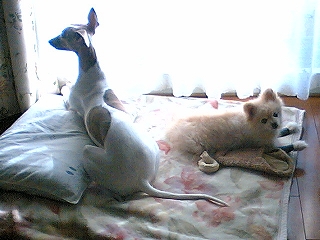 060205-01.jpg