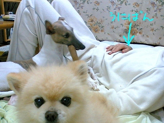 060206-01.jpg