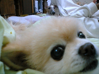 060206-05.jpg
