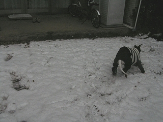 060207-2.jpg