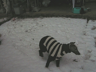 060207-3.jpg