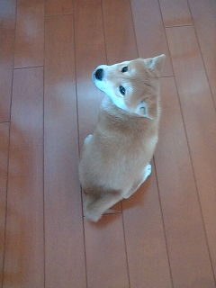 060209-5.jpg