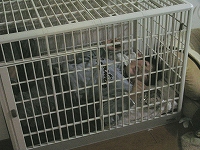 060211-03.jpg