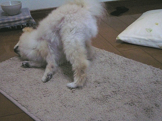 060212-01.jpg