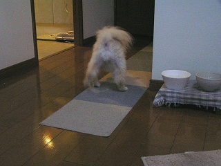 060212-02.jpg