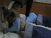 060212-04.jpg