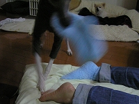 060212-05.jpg
