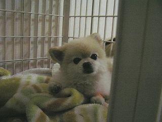 060212-06.jpg