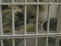 060212-07.jpg