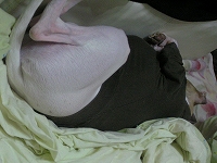 060212-08.jpg