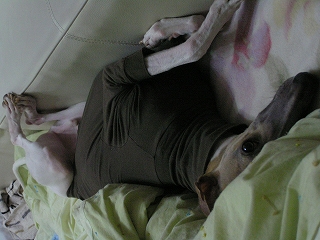 060212-08.jpg