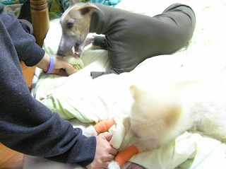 060213-02.jpg