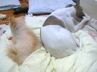060214-01.jpg