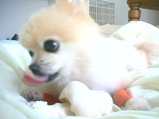 060216-04.jpg