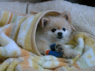060226-02.jpg