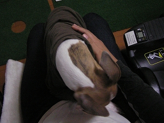 060302-01.jpg