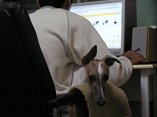 060302-02.jpg