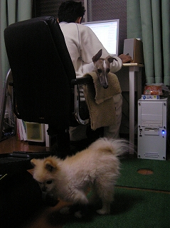 060302-03.jpg