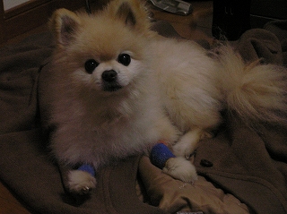 060302-05.jpg