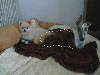 060303-01.jpg