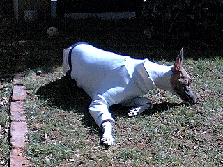 060306-02.jpg