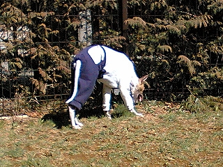 060306-03.jpg