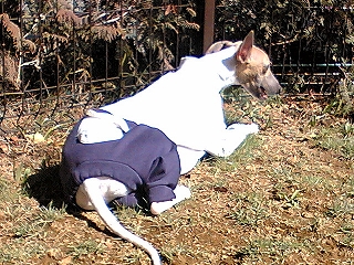 060306-04.jpg