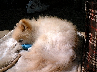 060306-05.jpg