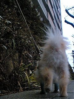 060307-01.jpg