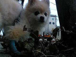 060307-02.jpg