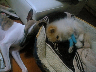 060315-01.jpg