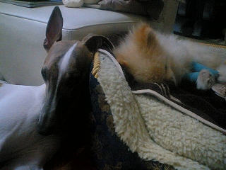 060315-02.jpg