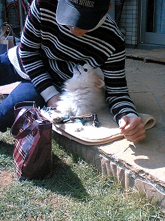 060318-02.jpg