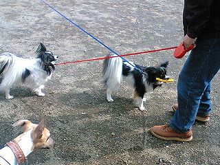 060414-04.jpg