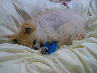 060415-04.jpg