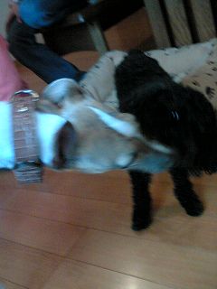 060416-01.jpg