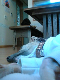 060416-03.jpg