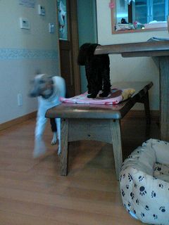 060416-04.jpg