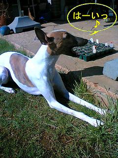 060428-01.jpg