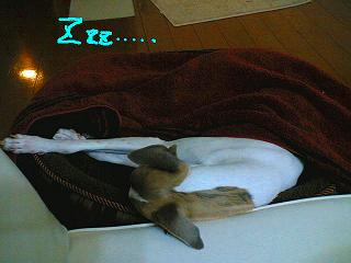 060428-03.jpg