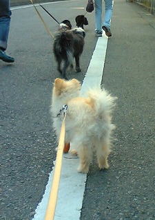 060504-02.jpg