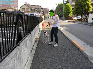 060504-03.jpg