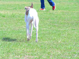 060505-06.jpg
