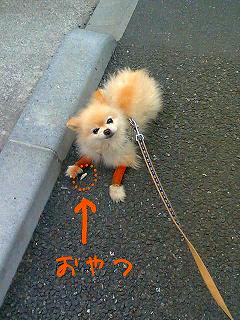 060511-01.jpg