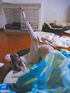 060512-02.jpg