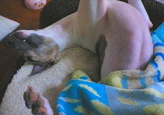 060512-03.jpg